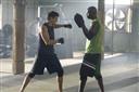 The Fighters